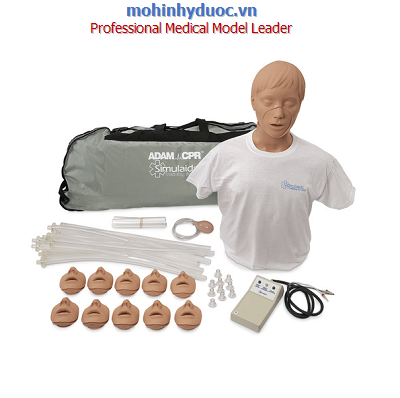 MÔ HÌNH THỰC HÀNH HỒI SINH TIM PHỔI NGƯỜI LỚN CÓ THIẾT BỊ ĐIỆN TỬ 1005726 - SB32362U