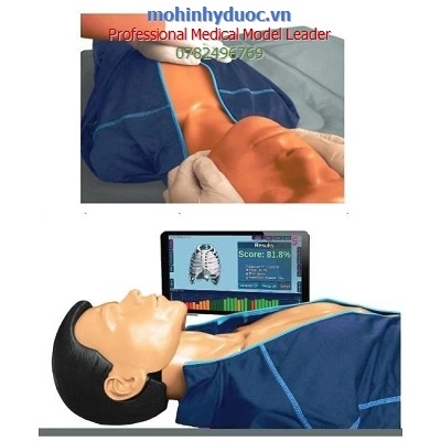 MÔ HÌNH HỒI SỨC CẤP CỨU BÁN THÂN (CPR) KẾT NỐI MÁY TÍNH SM201, V4EMS., INC