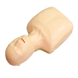 MÔ HÌNH HỒI SỨC TIM PHỔI ĐƠN GIẢN CPR HH-166