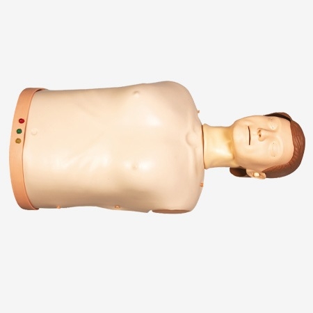 MÔ HÌNH HỒI SỨC TIM PHỔI NỬA NGƯỜI GD/CPR10175