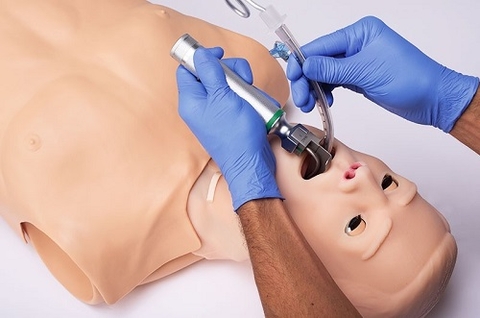 MÔ HÌNH HUẤN LUYỆN HỒI SINH TIM PHỔI  VÀ HÔ HẤP NHÂN TẠO ĐA NĂNG NGƯỜI LỚN - HAL S315.100