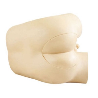 MÔ HÌNH KHÁM HẬU MÔN TRỰC TRÀNG GD/LV39