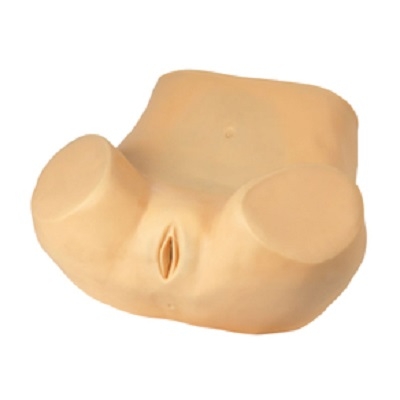 MÔ HÌNH KHÁM PHỤ KHOA GD/F30P