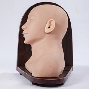 MÔ HÌNH KHÁM TAI NÂNG CAO (25 TỔN THƯƠNG) GD/LV16-2