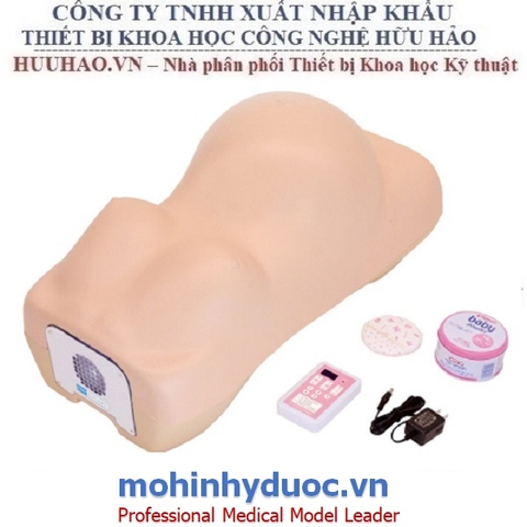 MÔ HÌNH THỰC HÀNH KHÁM SẢN PHỤ KHOA