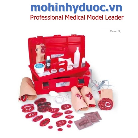 MÔ HÌNH KHUÔN MÔ PHỎNG CÁC MIẾNG VẾT THƯƠNG