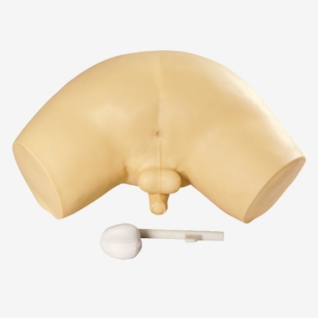 MÔ HÌNH THĂM KHÁM - KIỂM TRA TUYẾN TIỀN LIỆT GD/L63