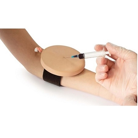 MÔ HÌNH LẤY MÁU TĨNH MẠCH ACF - 00140 - LIMBS AND THINGS