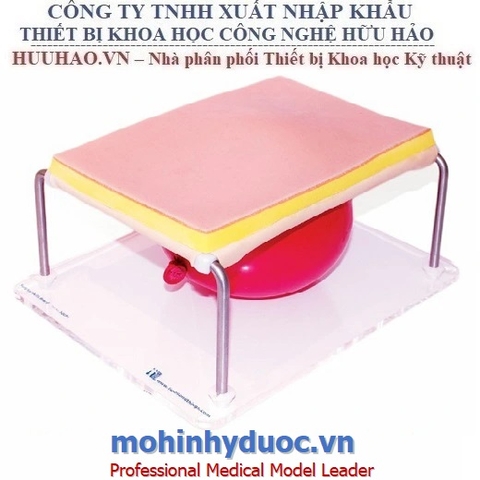 MÔ HÌNH THỰC HÀNH MỔ VÀ KHÂU VẾT THƯƠNG BỤNG 60430 LIMBS & THINGS