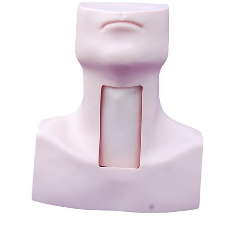 MÔ HÌNH MỞ KHÍ QUẢN HH-454 TRUNG QUỐC