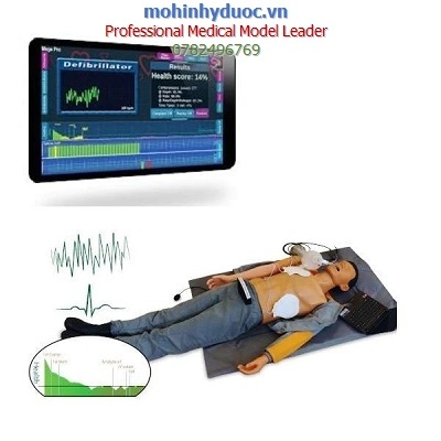 MÔ HÌNH MÔ PHỎNG CHƯƠNG TRÌNH ĐÀO TẠO NÂNG CAO ĐA NĂNG NGƯỜI LỚN KẾT NỐI MÁY TÍNH MG201, V4EMS., INC