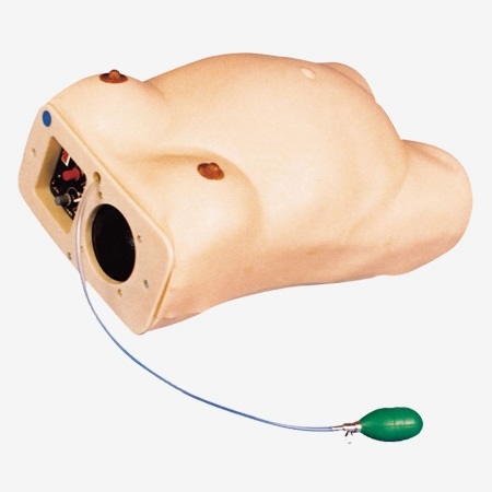 MÔ HÌNH MÔ PHỎNG KHÁM SẢN KHOA GD/FW2