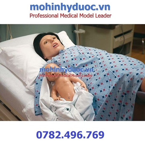 Mô Hình Mô Phỏng Sản Khoa