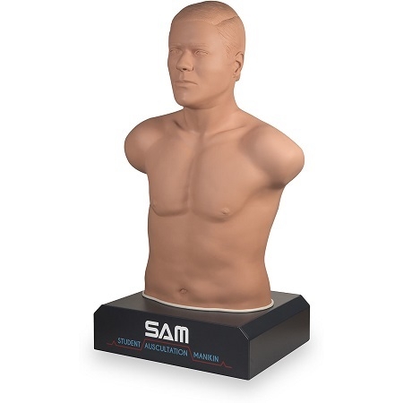 MÔ HÌNH NGHE TIẾNG TIM, TIẾNG PHỔI, ÂM RUỘT CHUYÊN SÂU - MÔ HÌNH THÍNH CHẨN - 1021554 - 3B SCIENTIFIC