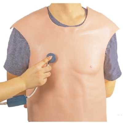 MÔ HÌNH NGHE TIM PHỔI MODEL: GD/TZ9 - HÃNG SX: SHANGHAI HONGLIAN MEDICAL