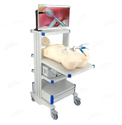 MÔ HÌNH NỘI SOI LỒNG NGỰC, NỘI SOI Ổ BỤNG, MÔ PHỎNG ĐÀO TẠO TÍCH HỢP NỘI SOI TỬ CUNG