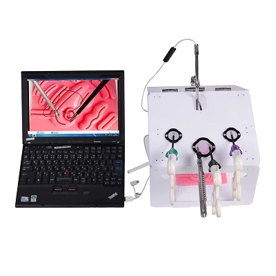 BỘ MÔ PHỎNG NỘI SOI VUÔNG VỚI CÁC MÔ-ĐUN ĐÀO TẠO