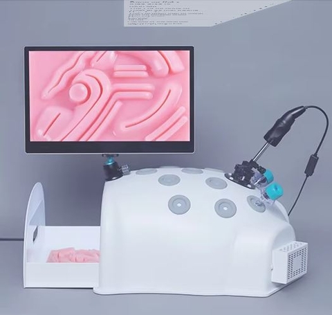 BỘ HỘP DỤNG CỤ  THỰC HÀNH MÔ PHỎNG PHẪU THUẬT NỘI SOI Ổ BỤNG