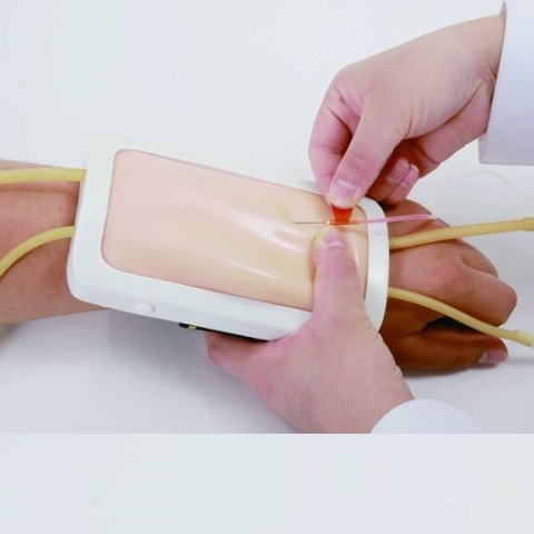 MÔ HÌNH PHẦN CÁNH TAY ĐỂ TIÊM BẮP CÓ ĐÈN BÁO HIỆU (MODEL: TYE1021 – TELLYES SCIENTIFIC)