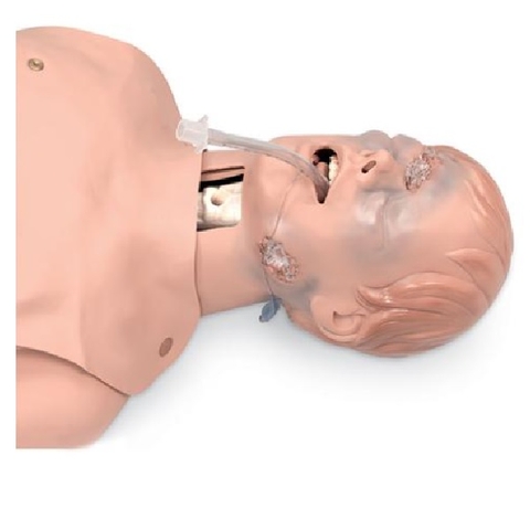 Mô Hình Quản Lý Đường Thở – 1017955 – 3B Scientific