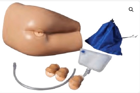 MÔ HÌNH THĂM KHÁM HẬU MÔN TRỰC TRÀNG AR421 ADAM ROUILLY