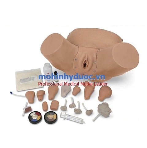 MÔ HÌNH THỰC HÀNH THĂM KHÁM SẢN - PHỤ KHOA LF01235U NASCO