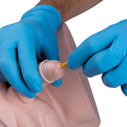 Mô Hình Thông Tiểu Nam Cơ Bản – 1020230 – 3B Scientific