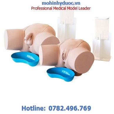 MÔ HÌNH THÔNG TIỂU NAM/ NỮ CHUYÊN SÂU 60854 LIMBS AND THINGS