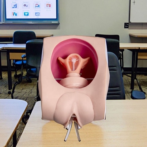 MÔ HÌNH THỰC HÀNH BIỆN PHÁP TRÁNH THAI  CHO NỮ GD/FT33B