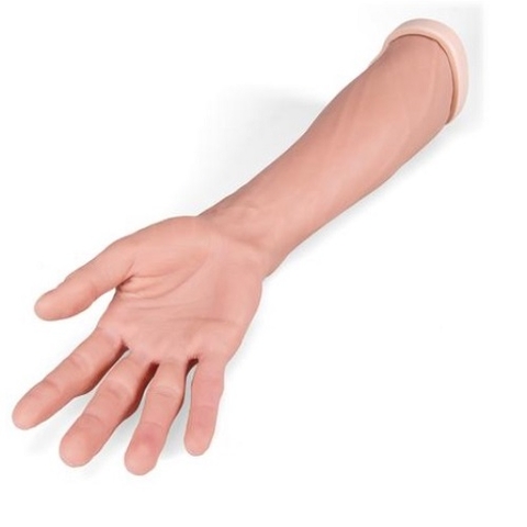 Mô hình thực hành cắt khâu tay da sáng 020904 [P101] 3B Scientific