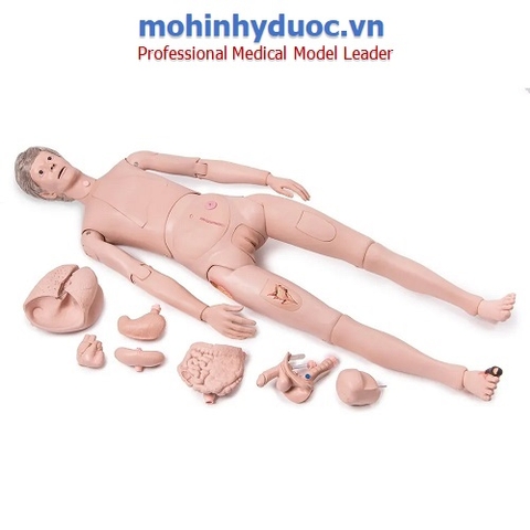 MÔ HÌNH THỰC HÀNH CHĂM SÓC BỆNH NHÂN TOÀN THÂN ĐA NĂNG