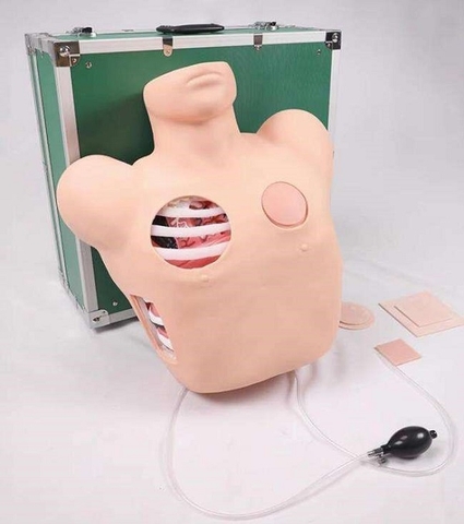 MÔ HÌNH THỰC HÀNH CHỌC TRÀN KHÍ MÀNG PHỔI