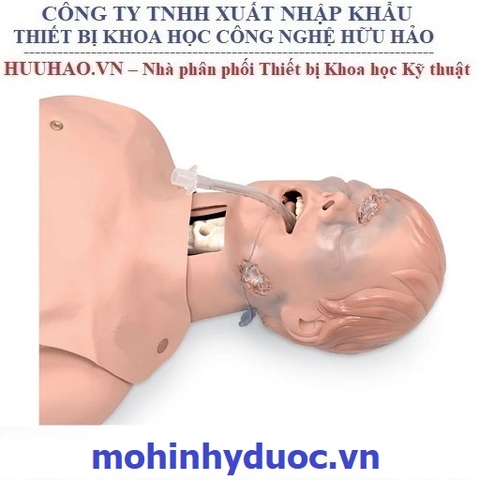 MÔ HÌNH THỰC HÀNH ĐẶT NỘI KHÍ QUẢN NASCO 101-060U
