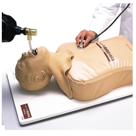 MÔ HÌNH THỰC HÀNH ĐẶT NỘI KHÍ QUẢN NGƯỜI LỚN 1005396 [W30508] 3B SCIENTIFIC