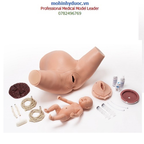 MÔ HÌNH THỰC HÀNH ĐỠ SINH - ĐẺ S500.300 / GAUMARD - MỸ