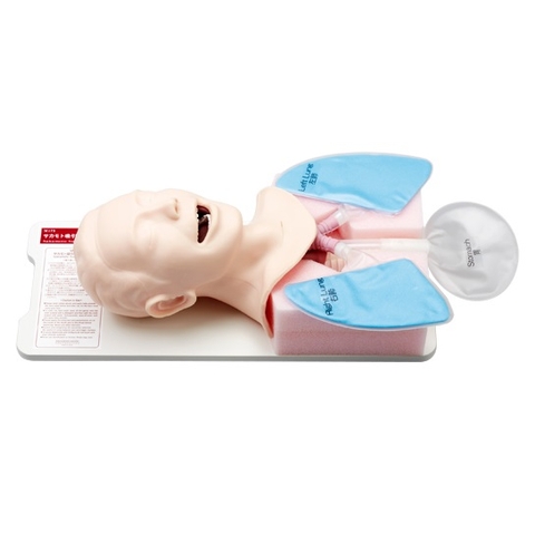 MÔ HÌNH THỰC HÀNH HÚT DỊCH, ĐỜM, DÃI ĐƯỜNG HÔ HẤP M175 SAKAMOTO