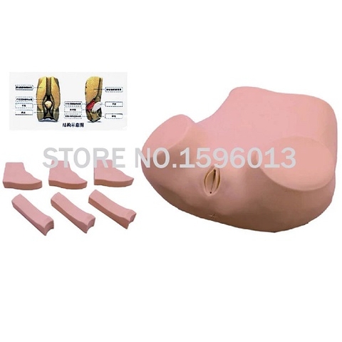 MÔ HÌNH THỰC HÀNH KHÁM PHỤ KHOA, CHỌC HÚT ÂM ĐẠO VÀ HẬU MÔ