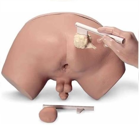 MÔ HÌNH THỰC HÀNH KHÁM TIỀN LIỆT TUYẾN LF00901U NASCO