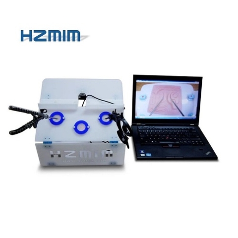 MÔ HÌNH THỰC HÀNH NỘI SOI Ổ BỤNG