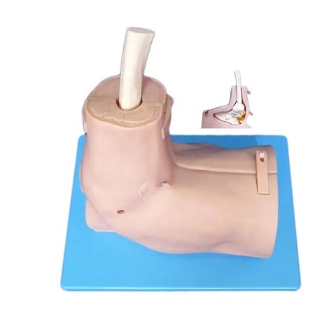 MÔ HÌNH THỰC HÀNH PHẪU THUẬT NỘI SOI KHỚP VAI