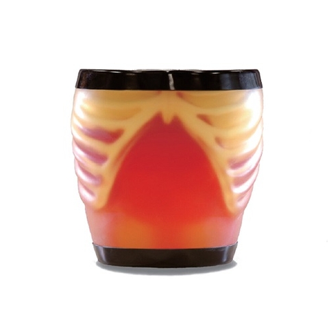 MÔ HÌNH THỰC HÀNH SIÊU ÂM Ổ BỤNG KYOTO