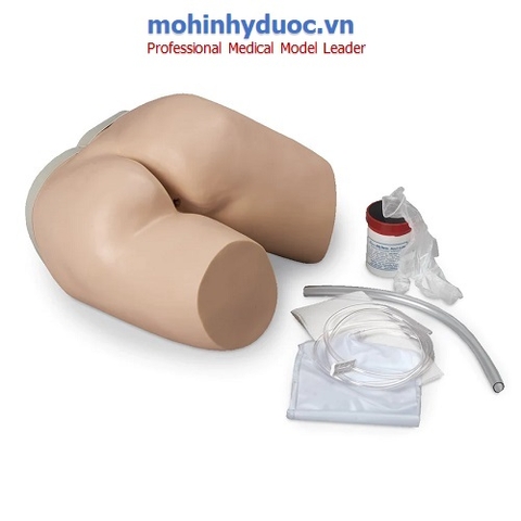 MÔ HÌNH THỰC HÀNH THỤT THÁO CHO BỆNH NHÂN LF00957 NASCO