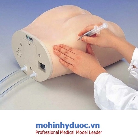 MÔ HÌNH ĐIỆN TỬ LM-027 KOKEN