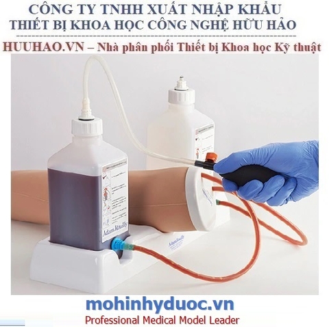 MÔ HÌNH CÁNH TAY THỰC HÀNH TIÊM TRUYỀN TĨNH MẠCH VÀ LẤY MẪU MÁU AR251