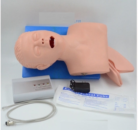 MÔ HÌNH THỰC HÀNH ĐẶT NỘI KHÍ QUẢN