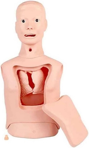 MÔ HÌNH THỰC TẬP MỞ KHÍ QUẢN, ĐẶT ỐNG NỘI KHÍ QUẢN, ĐẶT SONDE DẠ DÀY