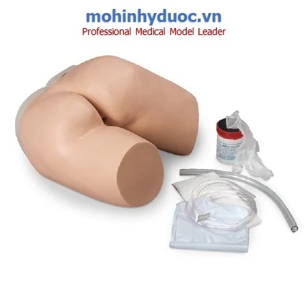 MÔ HÌNH THỤT THÁO - LF00957U - NASCO