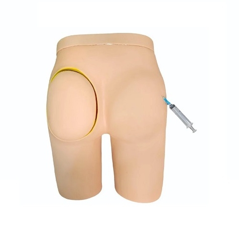 MÔ HÌNH TIÊM BẮP SÂU (TIÊM MÔNG)