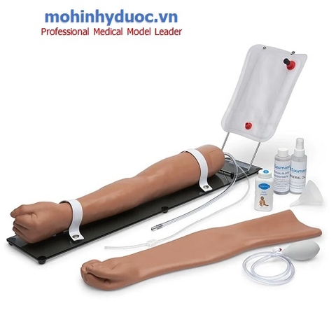 MÔ HÌNH TIÊM BẮP, TĨNH MẠCH CÁNH TAY S401.100 - GAUMARD