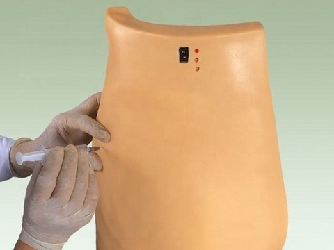 MÔ HÌNH TIÊM MÔNG ĐIỆN TỬ GD/HS10A